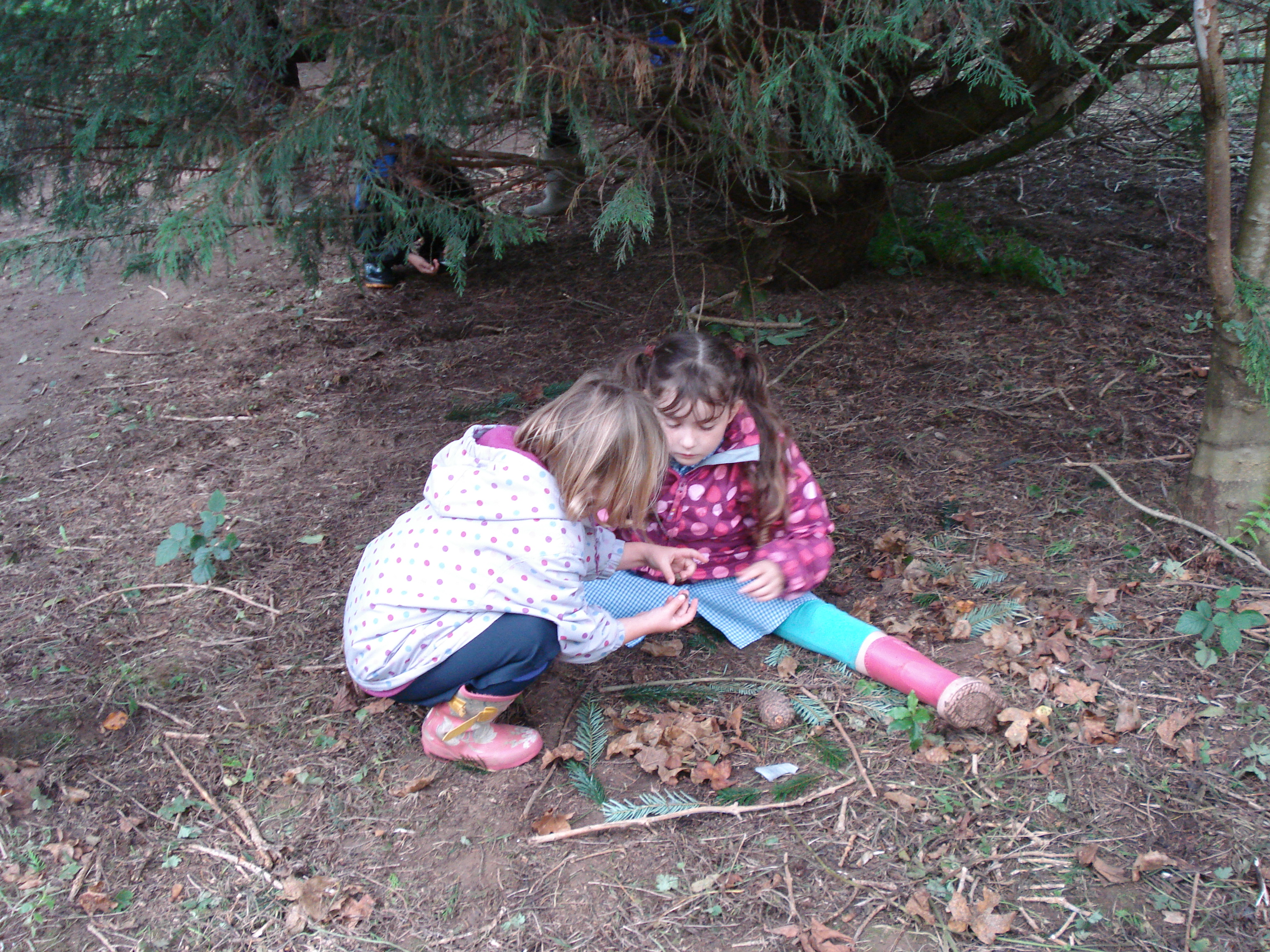 Making-pictures-in-the-wood